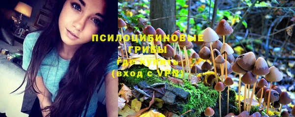 твердый Абинск