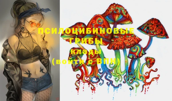 твердый Абинск